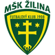 斯利纳U19 logo