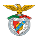 本菲卡U19 logo